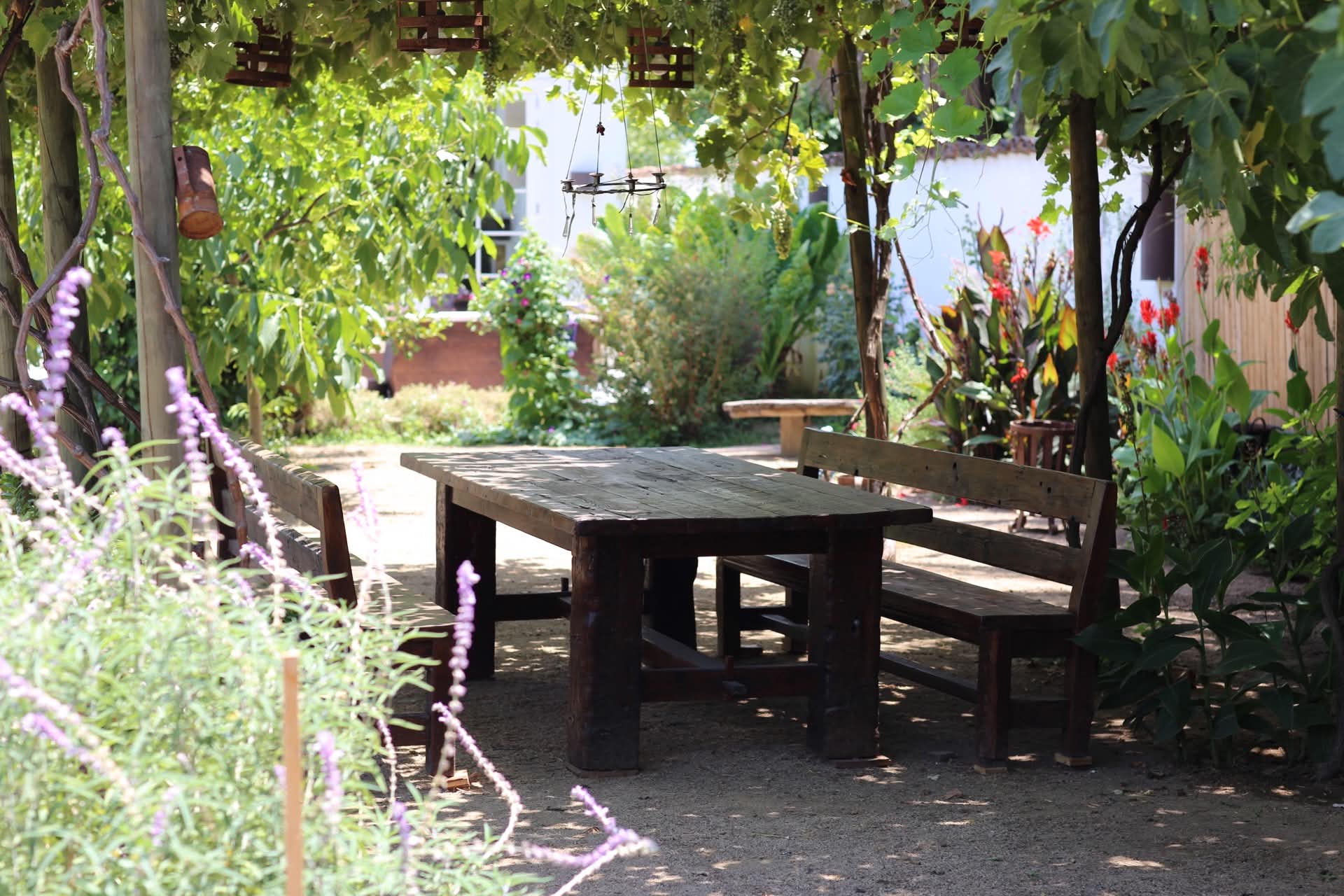 The parrón-shaded terrace.