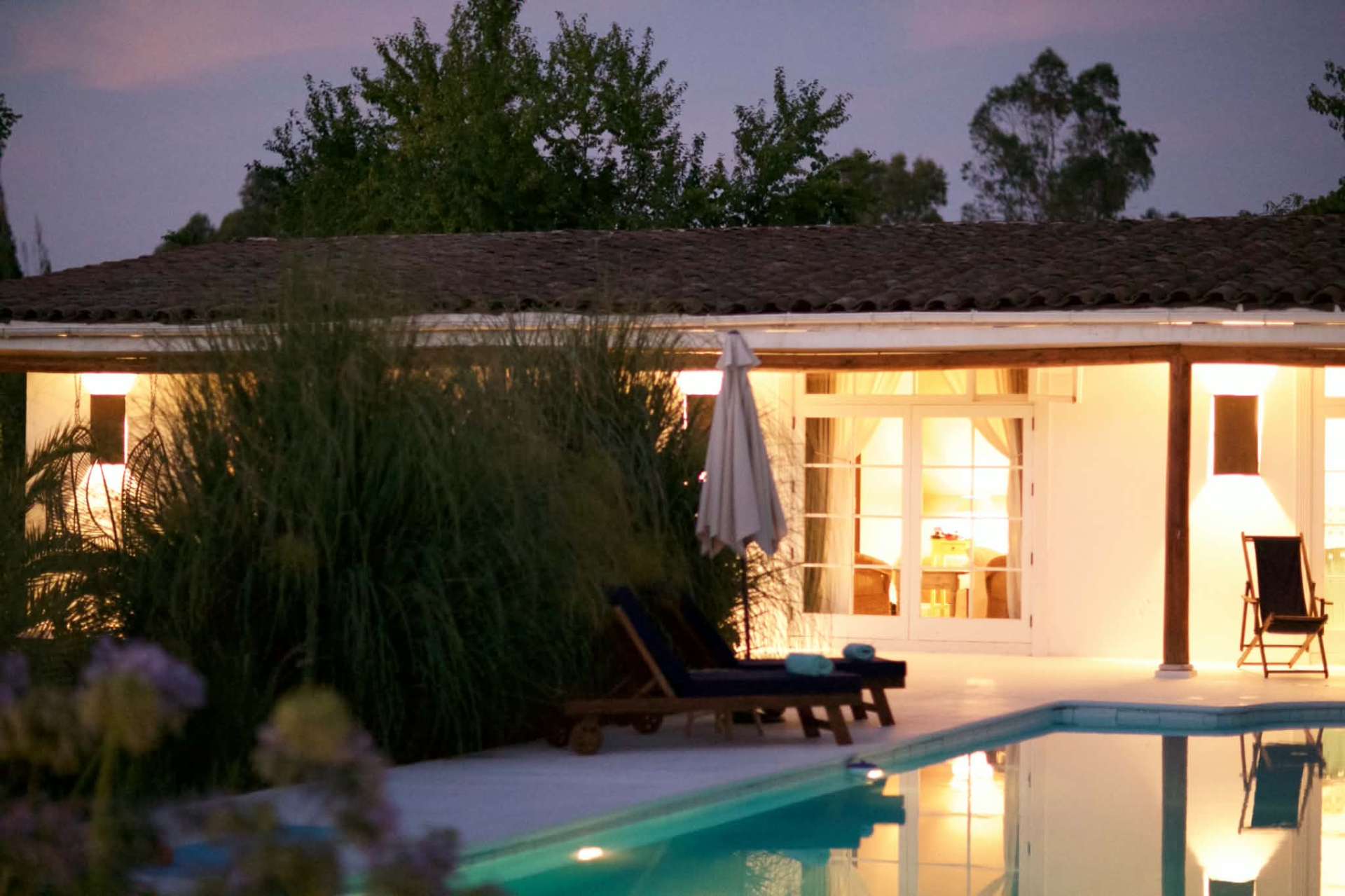 The swimming pool and surrounding garden.