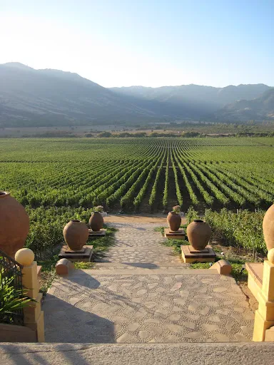 The Colchagua Valley landscape around the estate.