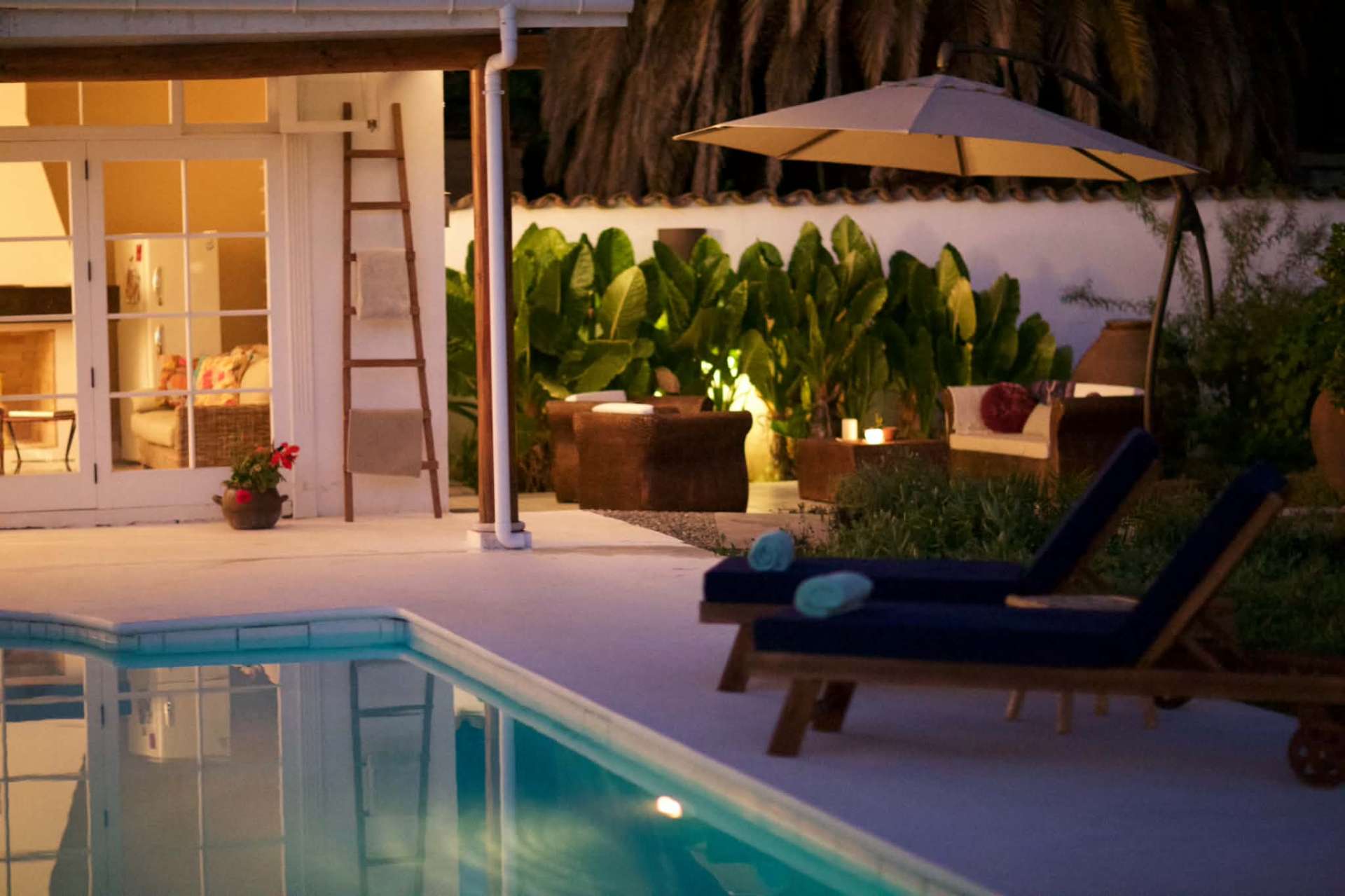 The swimming pool and surrounding garden.